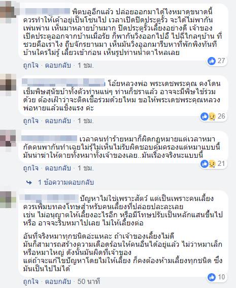 พิทบูลขย้ำพระ พิทบูลขย้ำพระ