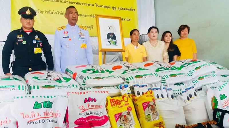 ในหลวง ทรงรับตูบพิการสองขา ไว้ในพระบรมราชานุเคราะห์ ในหลวง ทรงรับตูบพิการสองขา ไว้ในพระบรมราชานุเคราะห์