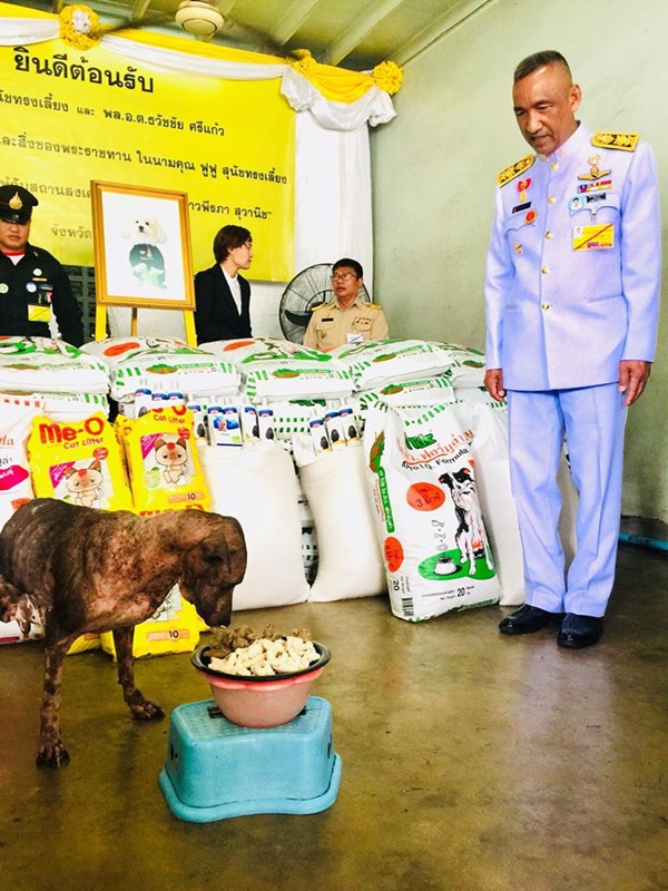 ในหลวง ทรงรับตูบพิการสองขา ไว้ในพระบรมราชานุเคราะห์ ในหลวง ทรงรับตูบพิการสองขา ไว้ในพระบรมราชานุเคราะห์