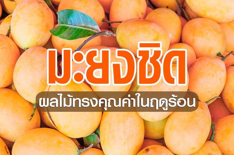 มะยงชิด มะยงชิด