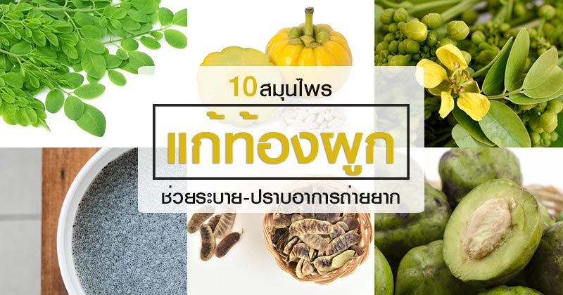 สมุนไพรแก้ท้องผูก สมุนไพรแก้ท้องผูก