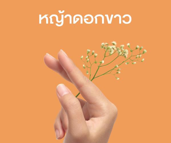 วิธีเลิกบุหรี่ วิธีเลิกบุหรี่