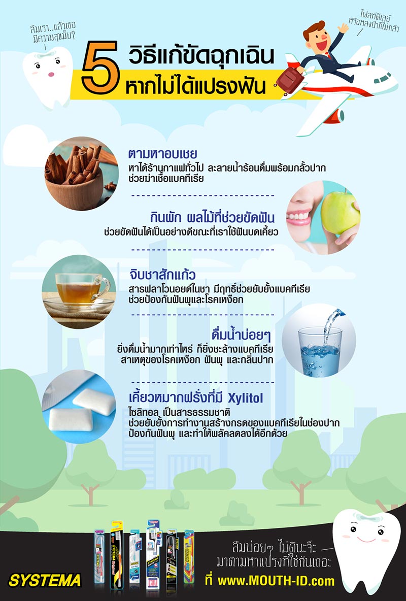 แปรงฟัน แปรงฟัน