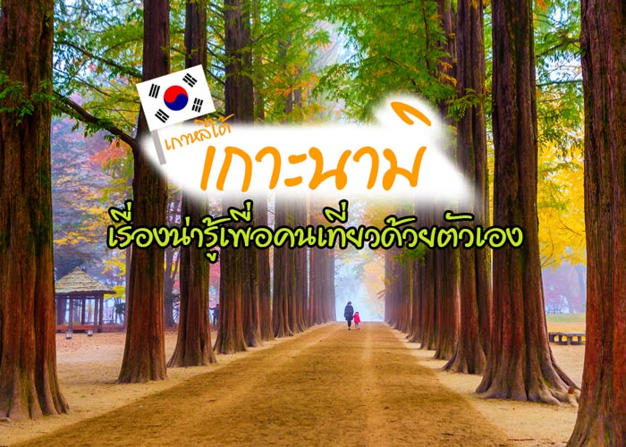 เกาะนามิ เกาะนามิ
