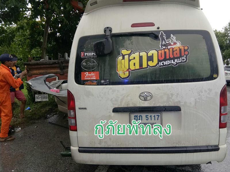ลำไย ไหทองคำ ลำไย ไหทองคำ