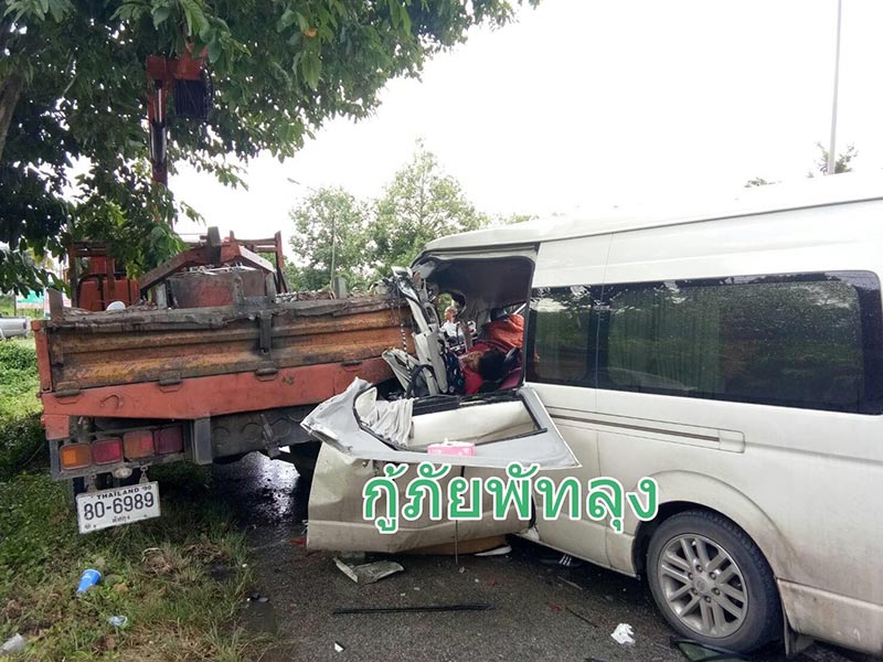 ลำไย ไหทองคำ ลำไย ไหทองคำ