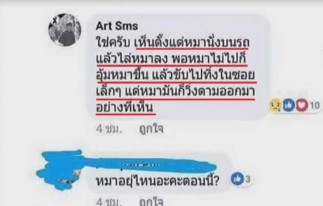 หมาถูกทิ้ง หมาถูกทิ้ง