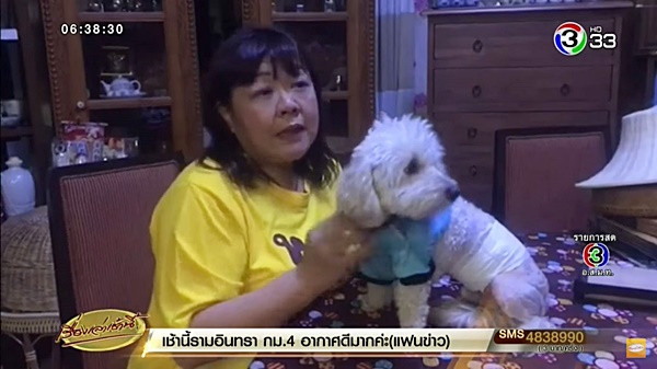 หมากัดกัน หมากัดกัน
