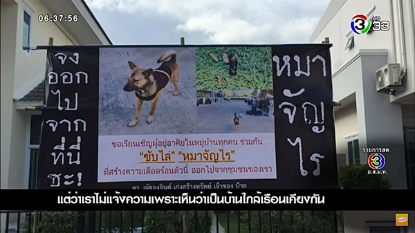 หมากัดกัน หมากัดกัน