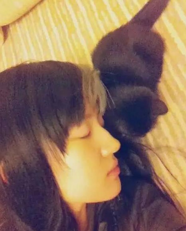 หลิวอี้เฟย นางฟ้าของแมวเหมียว หลิวอี้เฟย นางฟ้าของแมวเหมียว