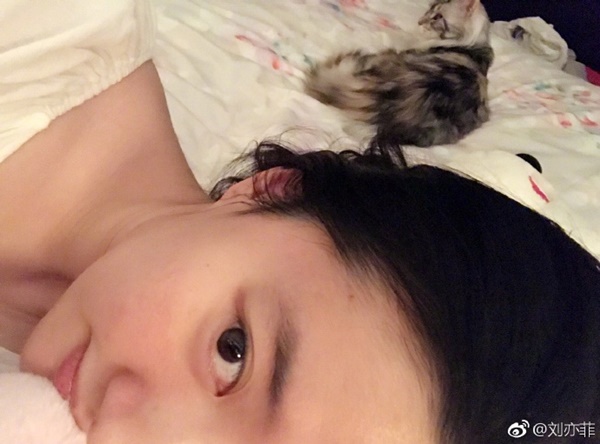 หลิวอี้เฟย นางฟ้าของแมวเหมียว หลิวอี้เฟย นางฟ้าของแมวเหมียว
