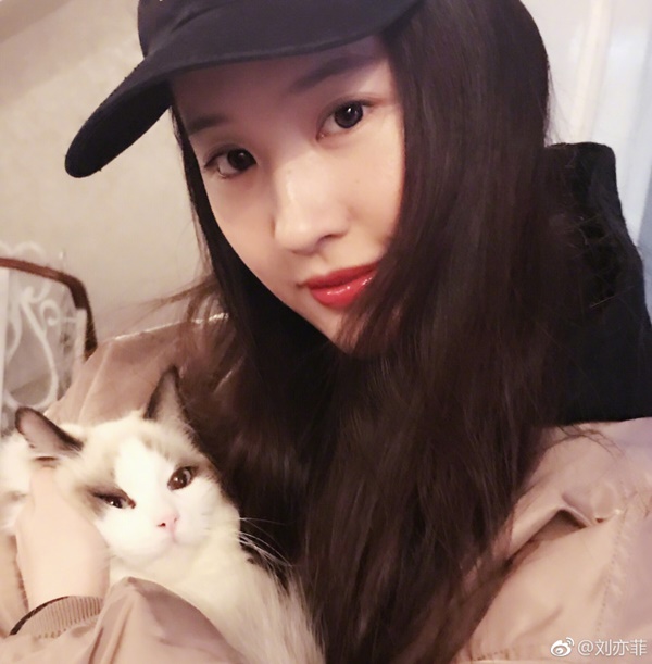 หลิวอี้เฟย นางฟ้าของแมวเหมียว หลิวอี้เฟย นางฟ้าของแมวเหมียว