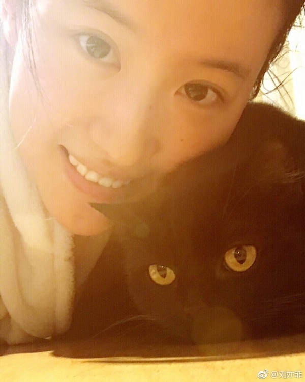 หลิวอี้เฟย นางฟ้าของแมวเหมียว หลิวอี้เฟย นางฟ้าของแมวเหมียว