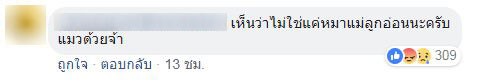 ทารุณสัตว์ ทารุณสัตว์