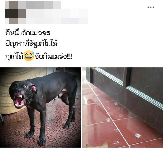 ทารุณสัตว์ ทารุณสัตว์