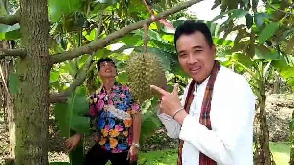 ทุเรียนหมอนทอง ทุเรียนหมอนทอง