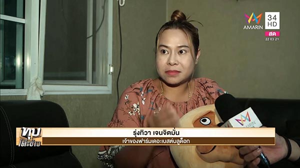 ทารุณสัตว์ ทารุณสัตว์