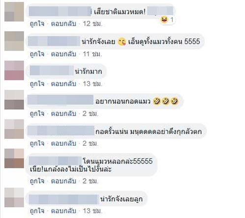 ช่วยแมว ช่วยแมว