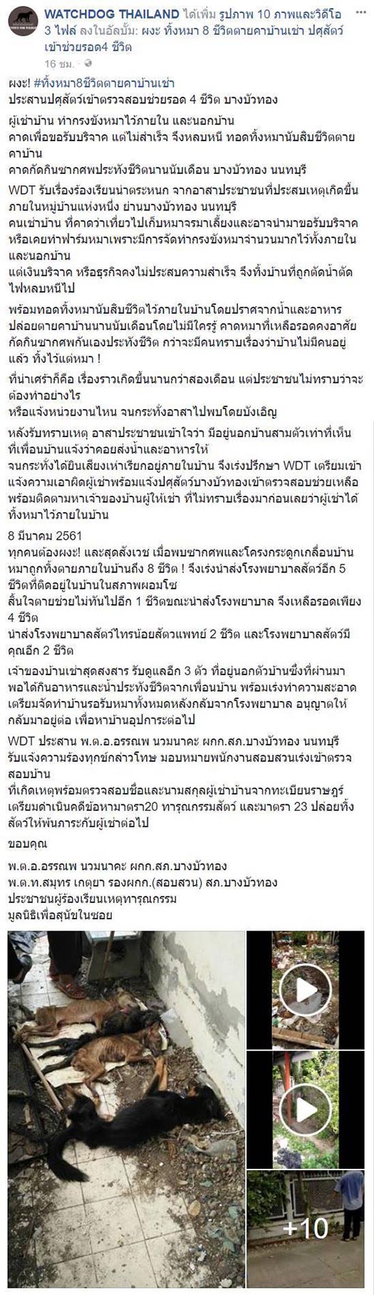 ทิ้งหมา ทิ้งหมา