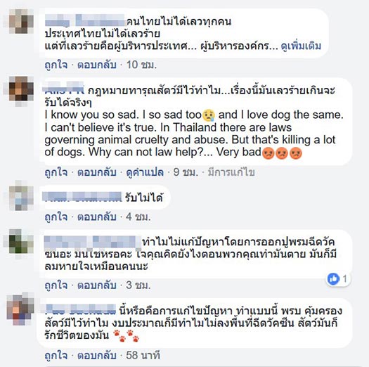 set zero หมา set zero หมา