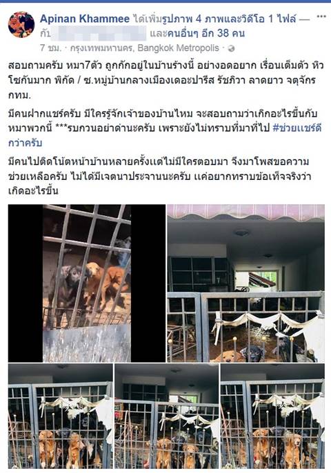 หมาเกือบสิบตัวโดนทิ้งในบ้านร้าง หมาเกือบสิบตัวโดนทิ้งในบ้านร้าง