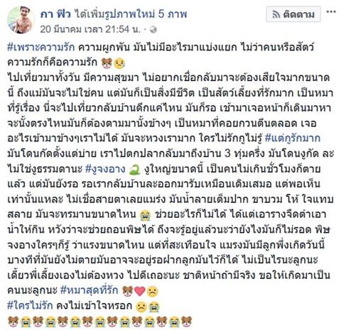สุนัขถูกงูกัดไม่ยอมตาย สุนัขถูกงูกัดไม่ยอมตาย