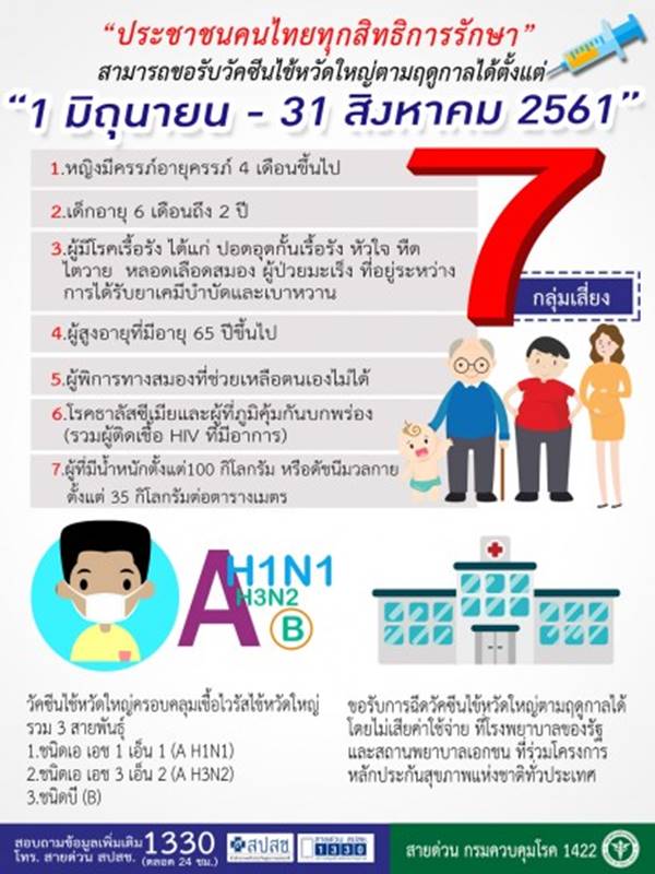 ไข้หวัดใหญ่ ไข้หวัดใหญ่