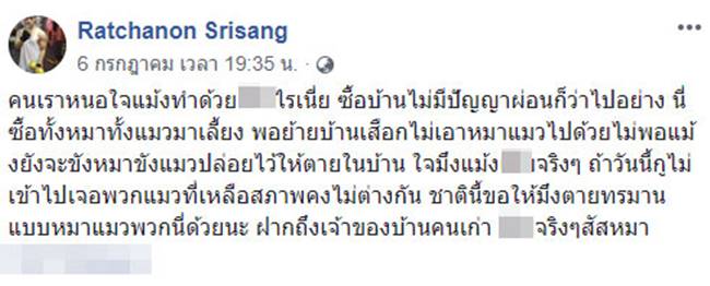 ทำร้ายแมว ทำร้ายแมว