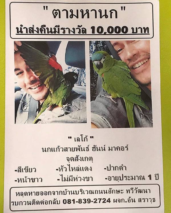 อ้น สราวุฒิ อ้น สราวุฒิ