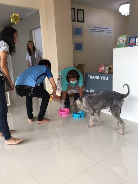 หนุ่มเจอตูบหน้าคุ้น หนุ่มเจอตูบหน้าคุ้น
