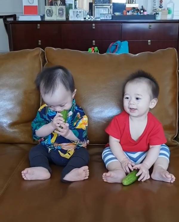 น้องสายฟ้า น้องพายุ น้องสายฟ้า น้องพายุ