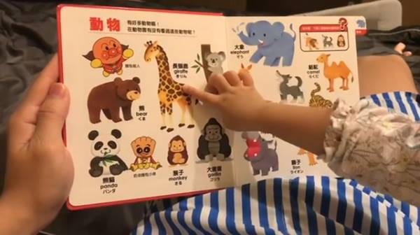 น้องเป่าเปา น้องเป่าเปา