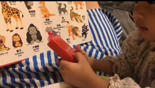 น้องเป่าเปา น้องเป่าเปา