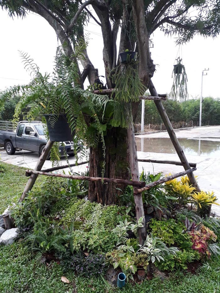 สวนน้ำตก สวนน้ำตก