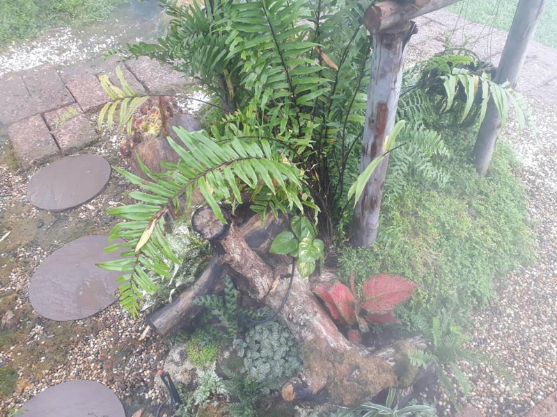 สวนน้ำตก สวนน้ำตก