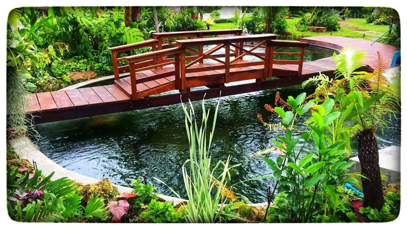 สวนน้ำตก สวนน้ำตก