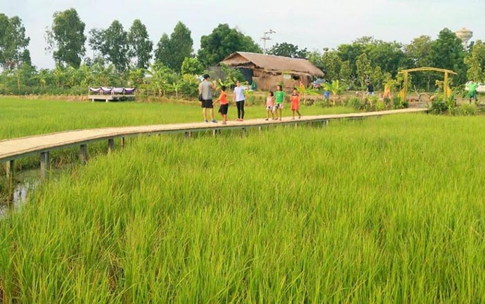 สะพานไม้ไผ่ บ้านเตย สะพานไม้ไผ่ บ้านเตย