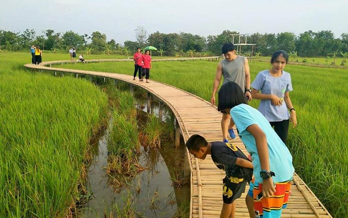 สะพานไม้ไผ่ บ้านเตย สะพานไม้ไผ่ บ้านเตย