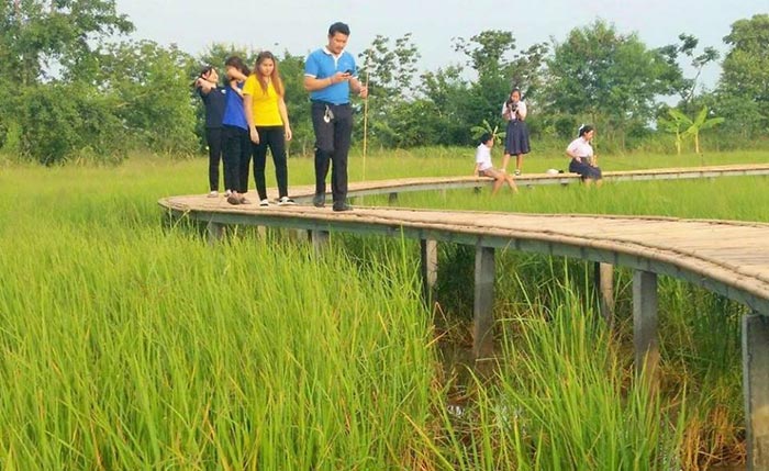 สะพานไม้ไผ่ บ้านเตย สะพานไม้ไผ่ บ้านเตย