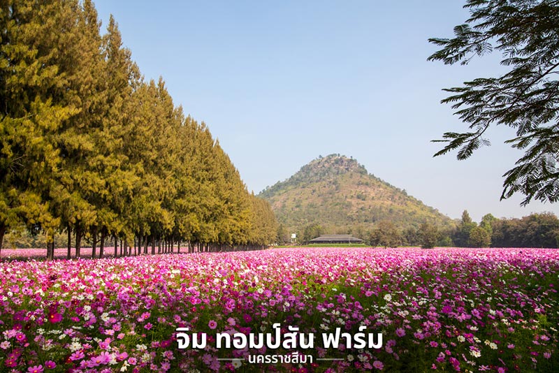 ที่เที่ยวหน้าหนาว 2561 ที่เที่ยวหน้าหนาว 2561
