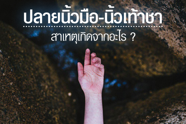 ชาปลายนิ้วมือ นิ้วเท้า ชาปลายนิ้วมือ นิ้วเท้า