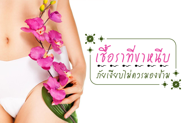 เชื้อราที่ขาหนีบ เชื้อราที่ขาหนีบ