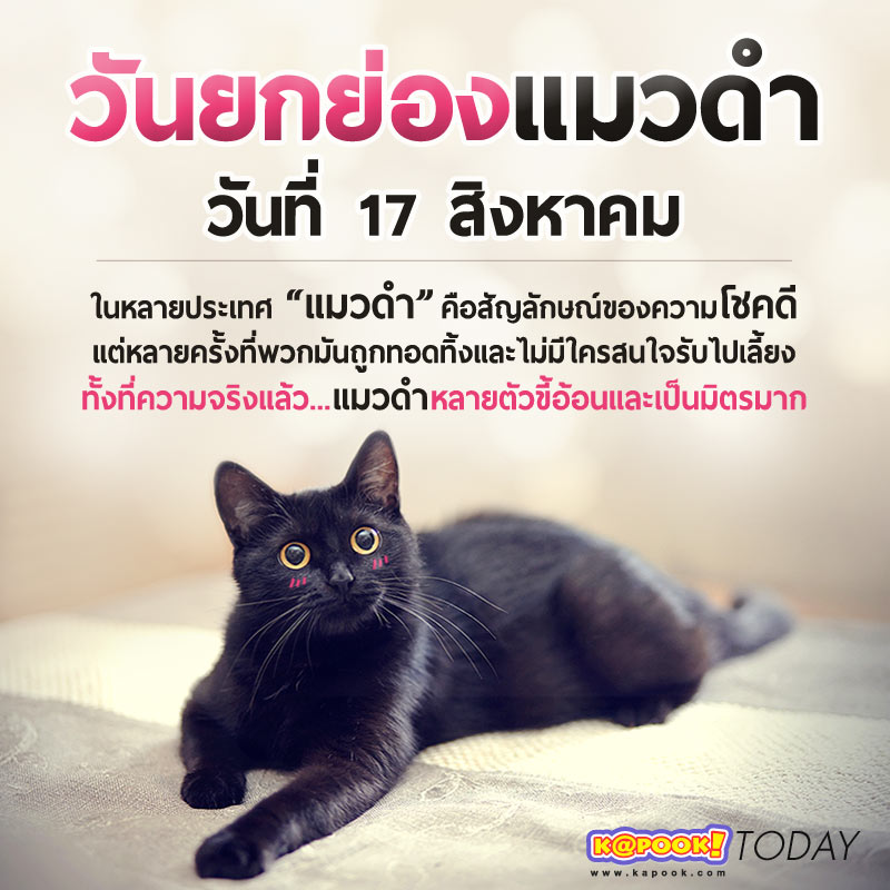วันยกย่องแมวดำ วันยกย่องแมวดำ