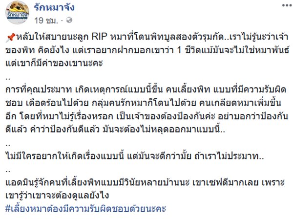 หมาถูกพิทบูลกัด หมาถูกพิทบูลกัด