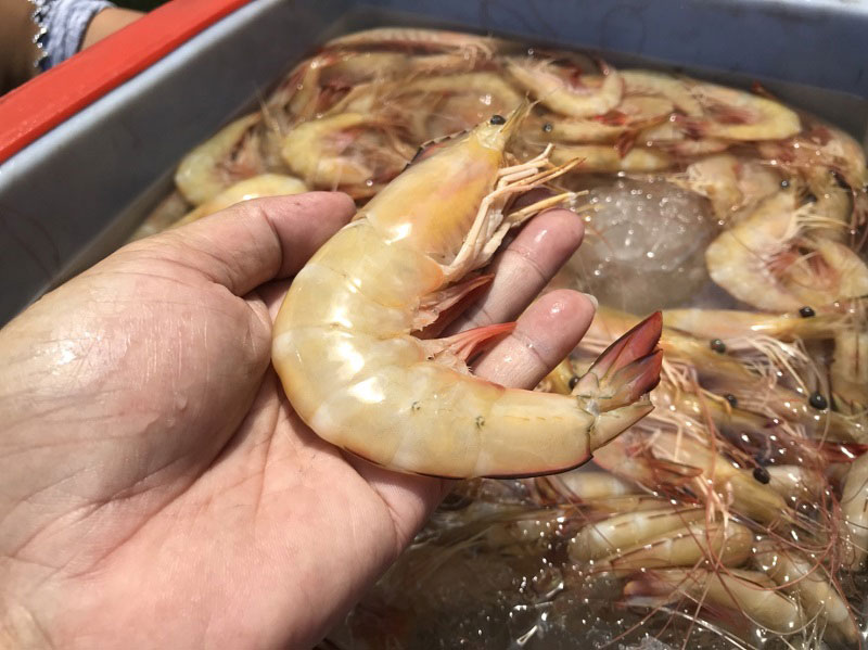 กุ้งผัดน้ำพริกกะปิสะตอ กุ้งผัดน้ำพริกกะปิสะตอ