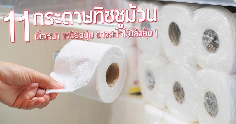 กระดาษทิชชูม้วน ยี่ห้อไหนดี กระดาษทิชชูม้วน ยี่ห้อไหนดี