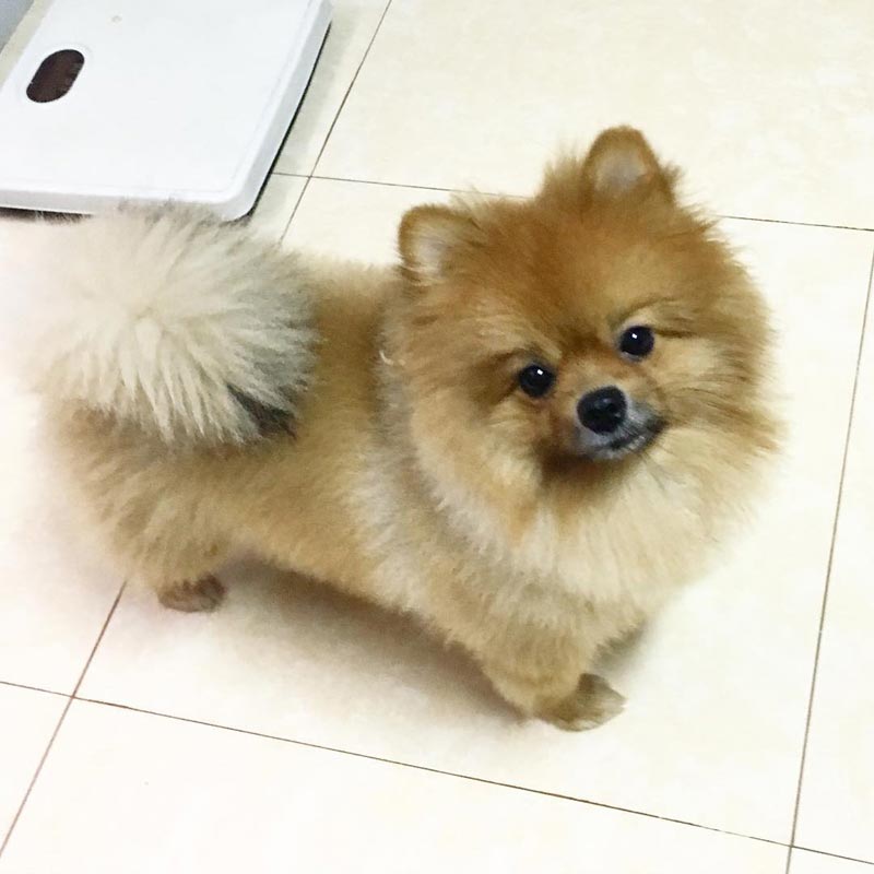 บ้านขุน ชานนท์ บ้านขุน ชานนท์