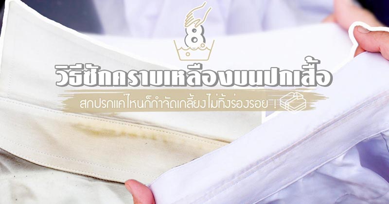 วิธีซักคราบเหลืองบนปกเสื้อ วิธีซักคราบเหลืองบนปกเสื้อ