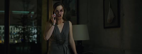 The Girl in the Spider s Web