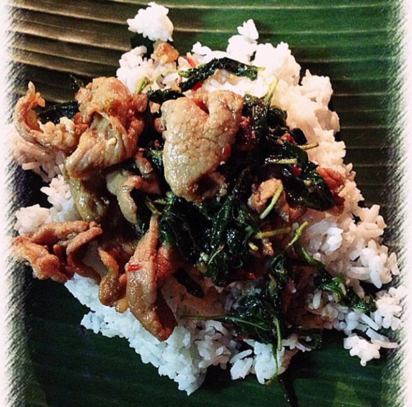 9 ร้านผัดกะเพรา 9 ร้านผัดกะเพรา